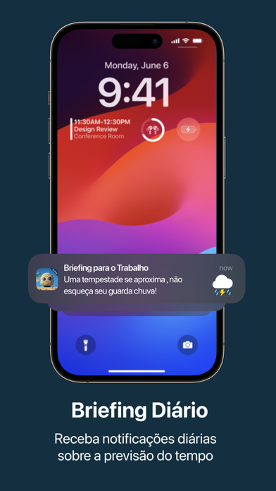 StoneForecast Screenshot