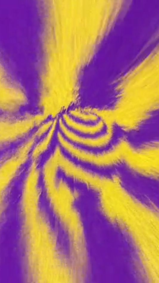 #1. eyeAdd School Edition (macOS) By: fishdog.net