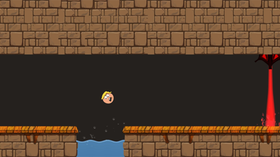 Adventures of Orange Ball Screenshot