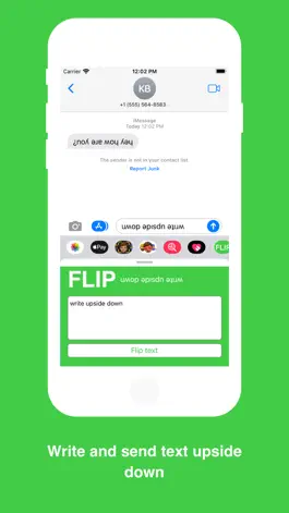 Game screenshot Flip Messenger apk