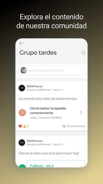 35010Fuerza Screenshot