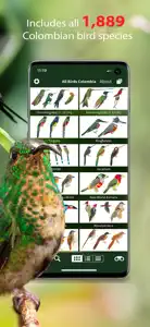 All Birds Colombia field guide screenshot #2 for iPhone