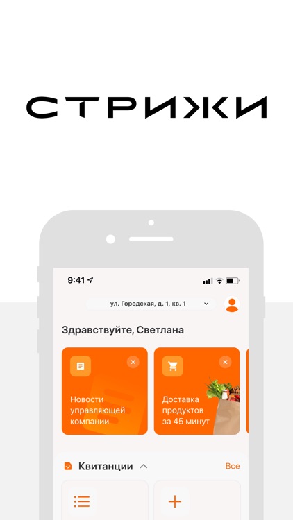 Стрижи. Сервис