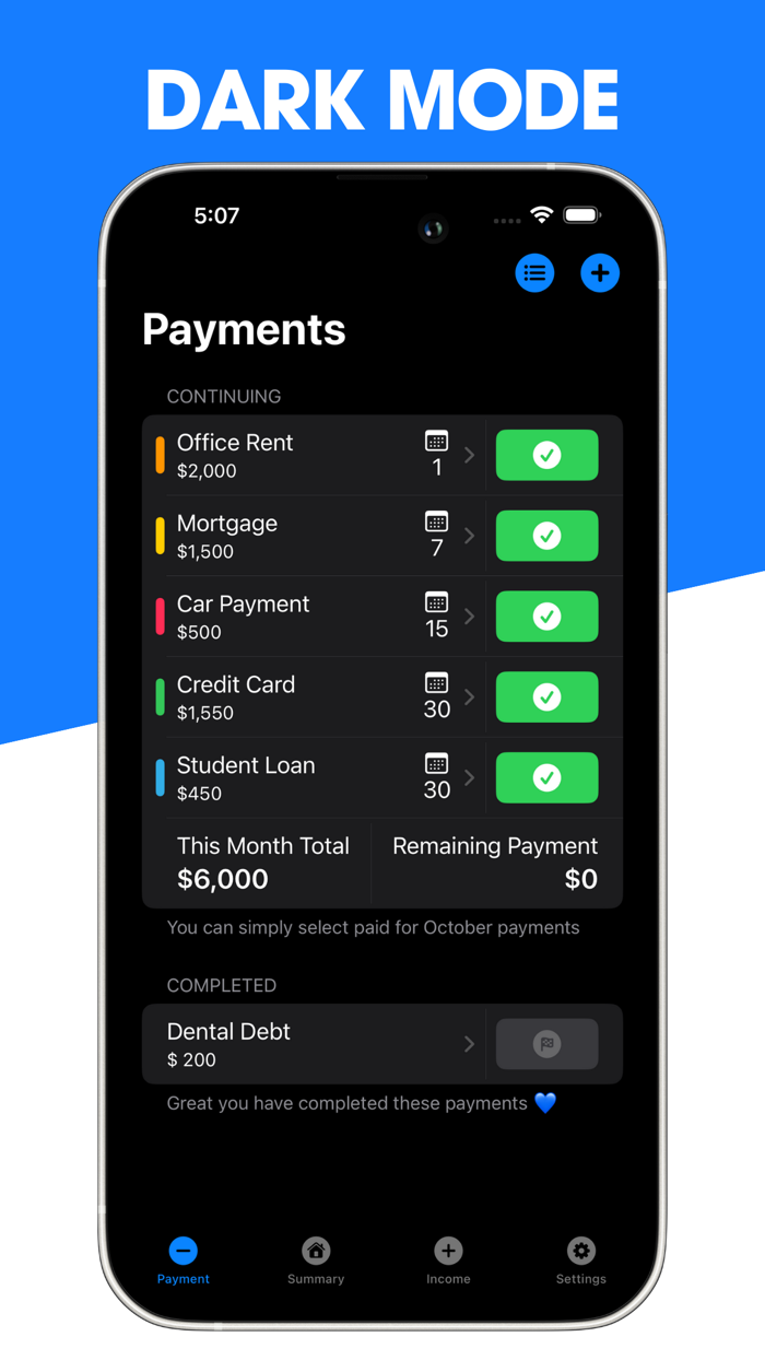 Debt Track Payments Monthly