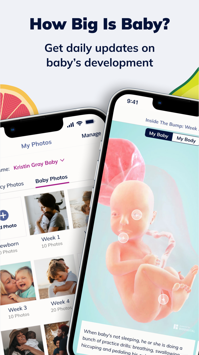 Pregnancy and Baby App The Bump
