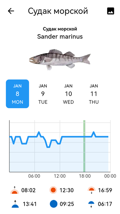 Fisherman's Watch Screenshot