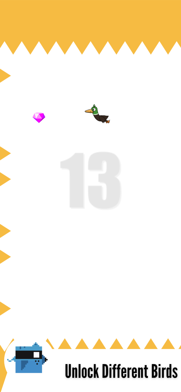 Bird And Words  Find Word