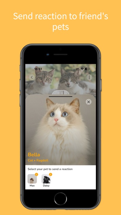 Petigo - Connecting pet lovers Screenshot