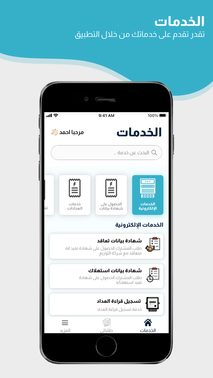 خدمات كهرباء مصر