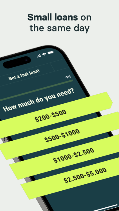 Same Day Loan No Credit Check Screenshot