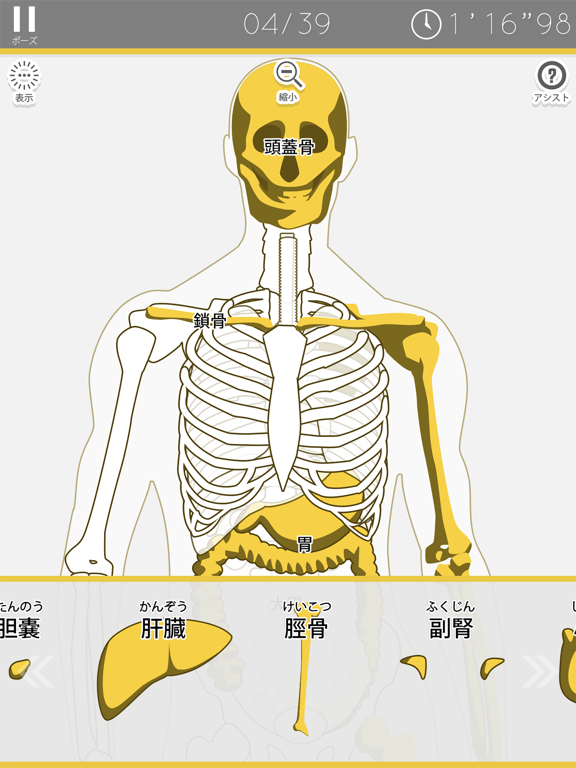 あそんでまなべる 人体模型パズルのおすすめ画像1