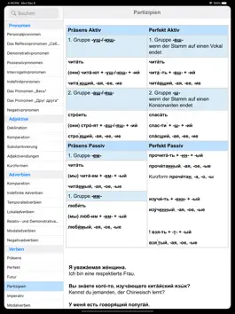 Game screenshot Russische Grammatik für iPad hack