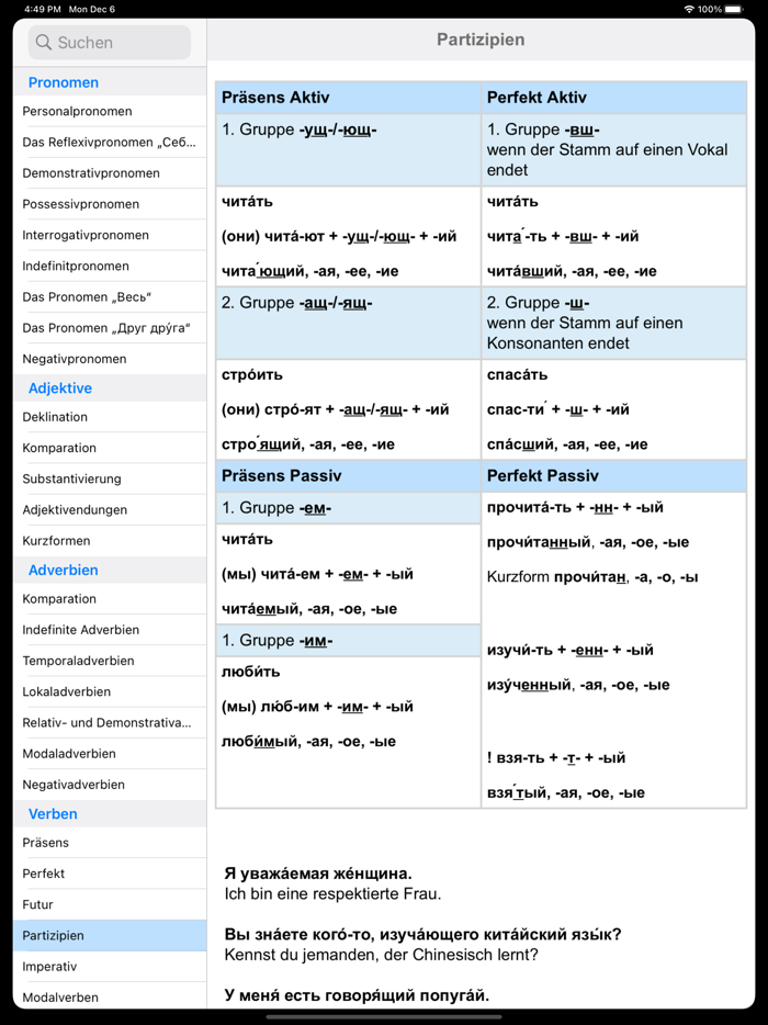 Russische Grammatik für iPad