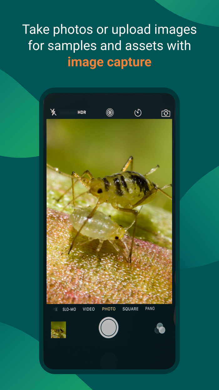 Locus Field Assets and Data