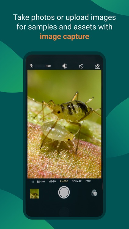 Locus Field Assets and Data