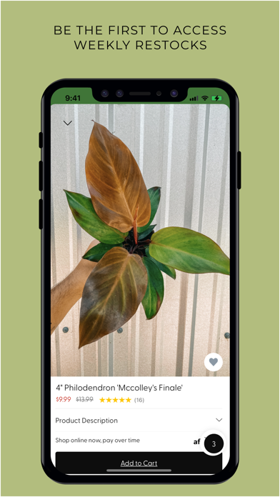 BWH Plant Co Screenshot