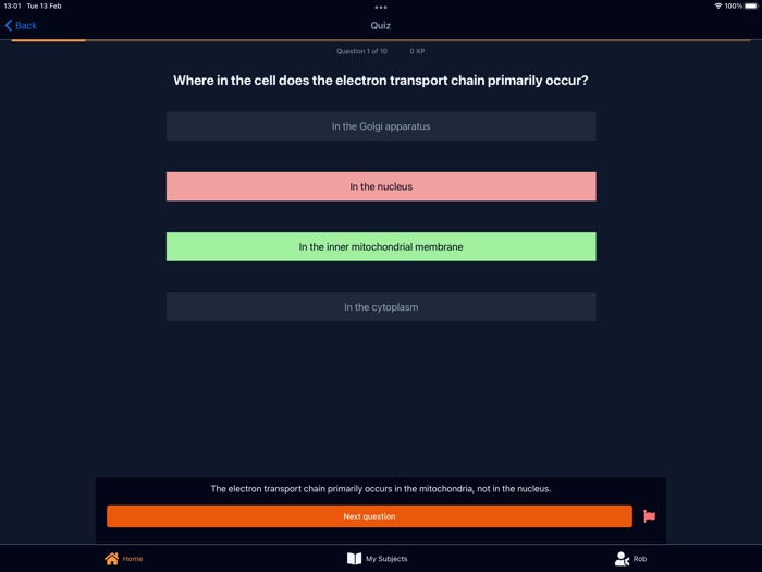 Brain Glue - GCSE  A Level