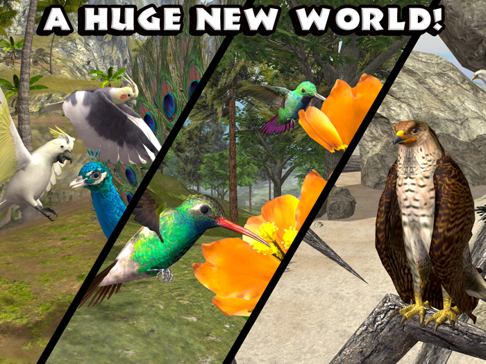 Ultimate Bird Simulator