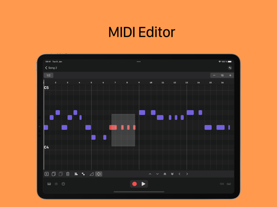 SAND: Sequencer for AUv3, MIDIのおすすめ画像2