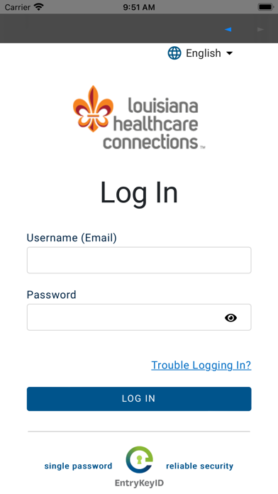 Louisiana Health Connect Screenshot