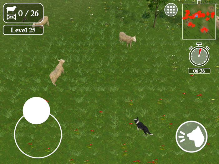 Sheep Dog Challenge