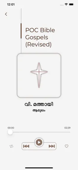 Game screenshot POC Bible Gospels hack