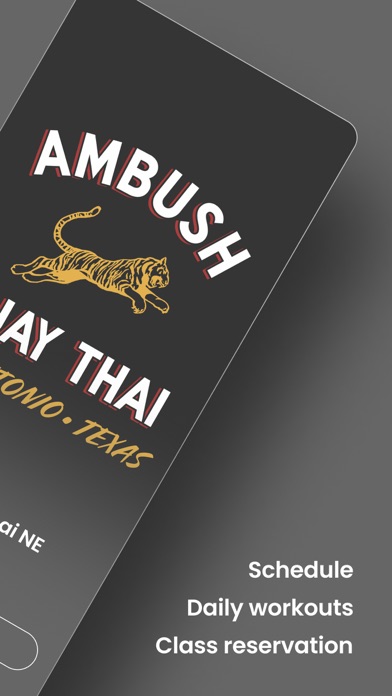 Ambush Muay Thai SATX Screenshot