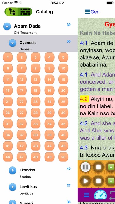 Screenshot #2 pour English Ghana Twi Audio Bible