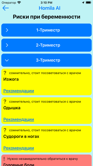 Homila AI Screenshot