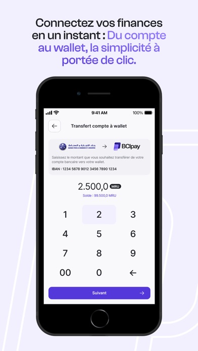 BCIpay Screenshot