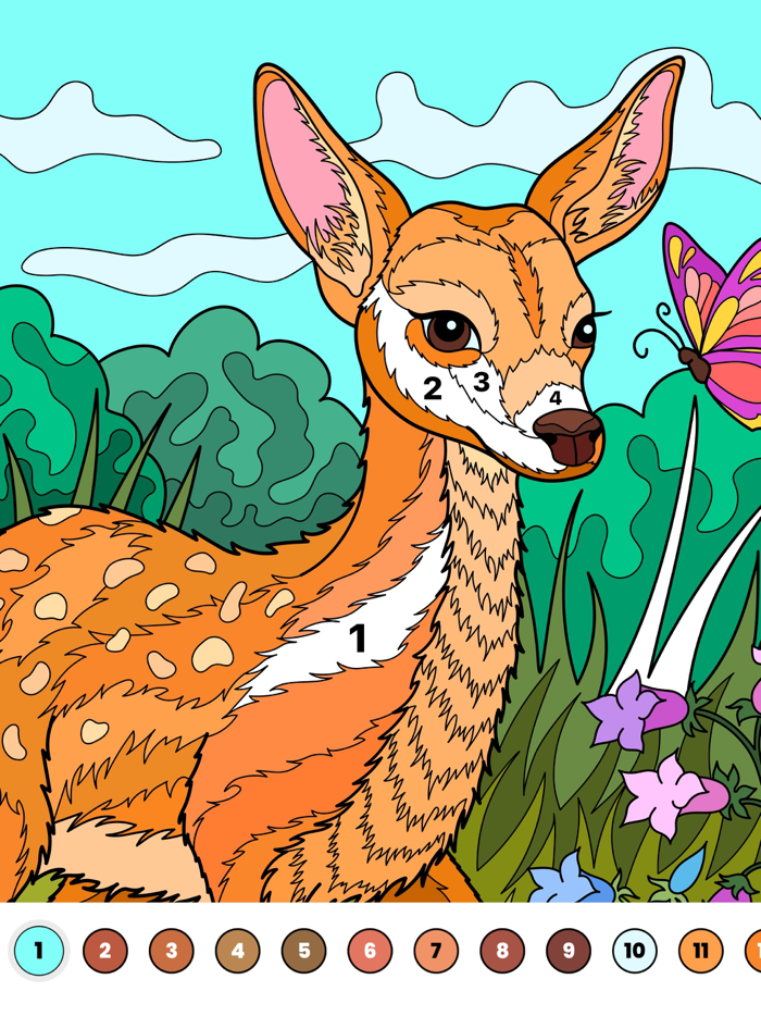 Easy Color by Number