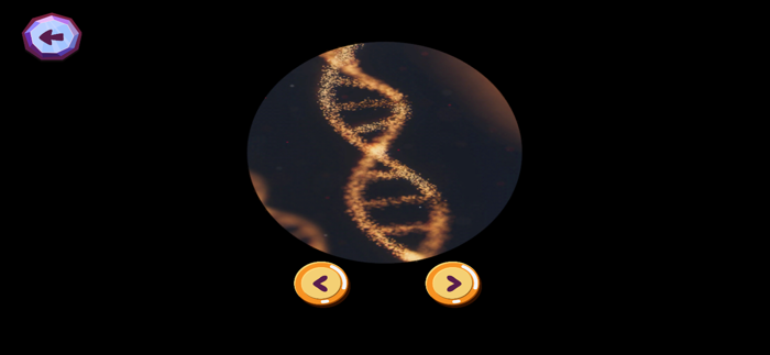 My Room Exploration Game