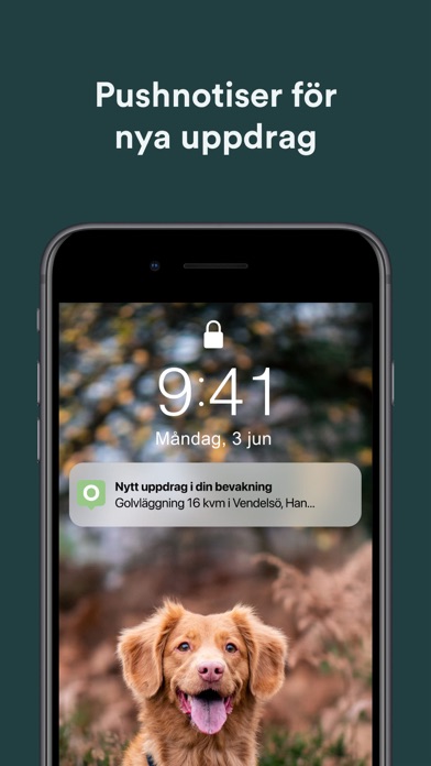 Offerta Screenshot