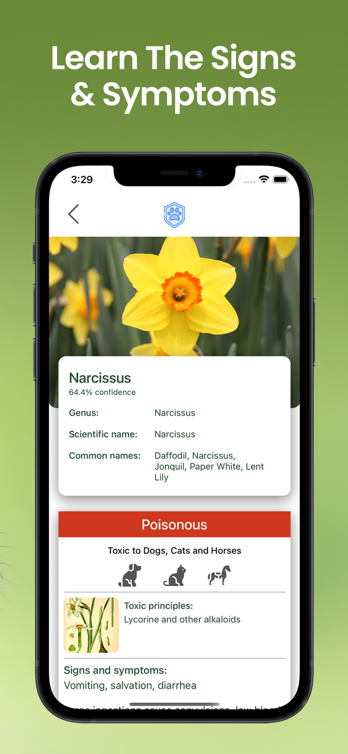 Pet Protect Plan Toxic Plant