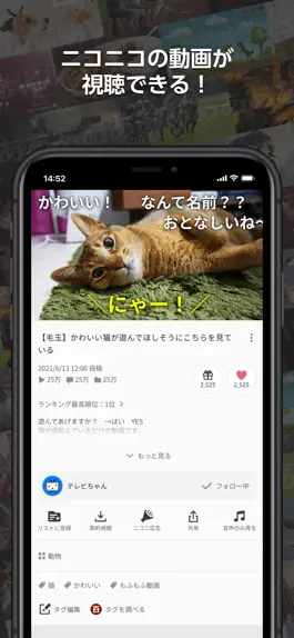 Game screenshot ニコニコ動画-アニメやゲーム配信動画を観られる動画配信アプリ mod apk