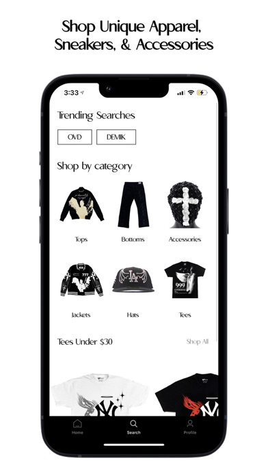 ARCHIV333 Screenshot