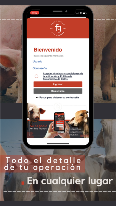 FRIGORIFICO GUADALUPE Screenshot