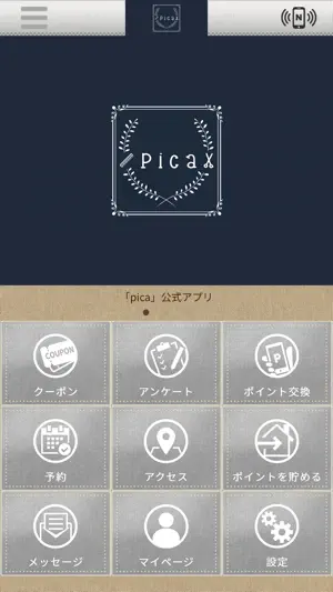 pica screenshot 1