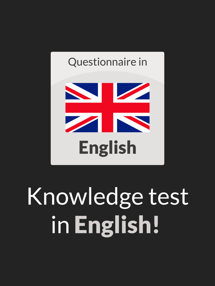 English Questionnaire