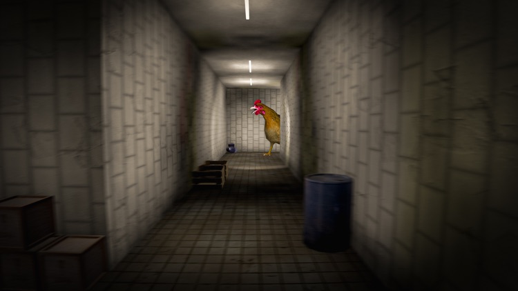 Scary Bird Horror Escape Games