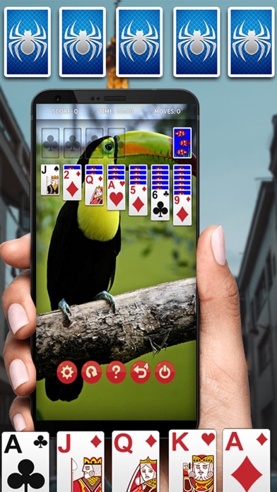Kingdom Solitaire - Card Game Screenshot