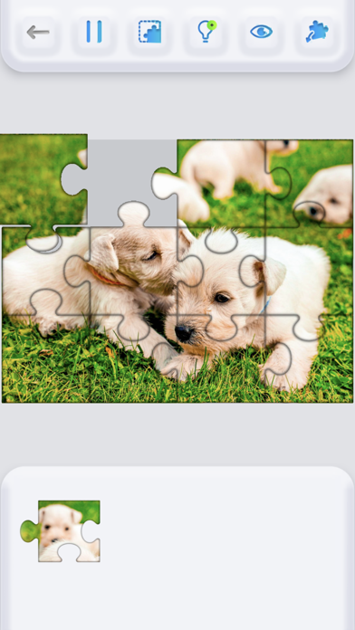 Jigsaw Puzzle Mind Games Screenshot