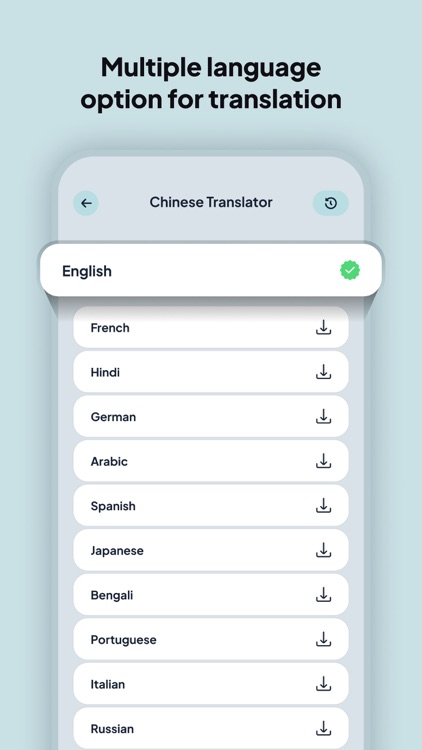 Chinese Translator & Learner