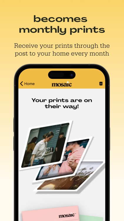 Mosaic Journal screenshot-3