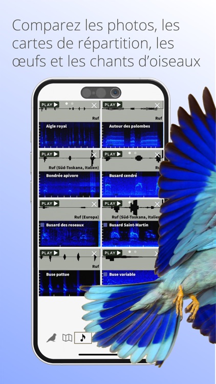 Ois'App - Oiseaux de France screenshot-6