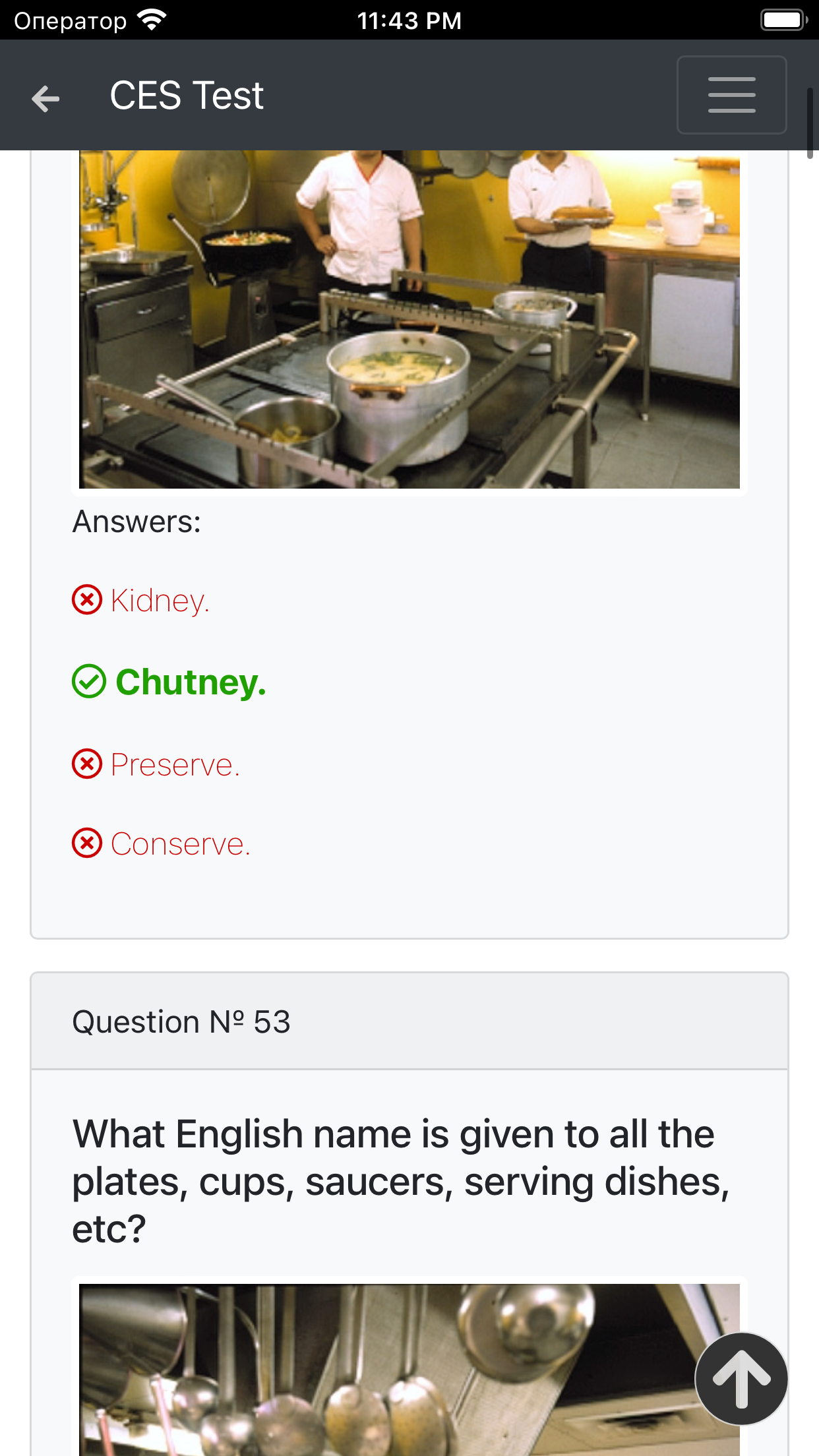 Catering. Cook Detailed CES