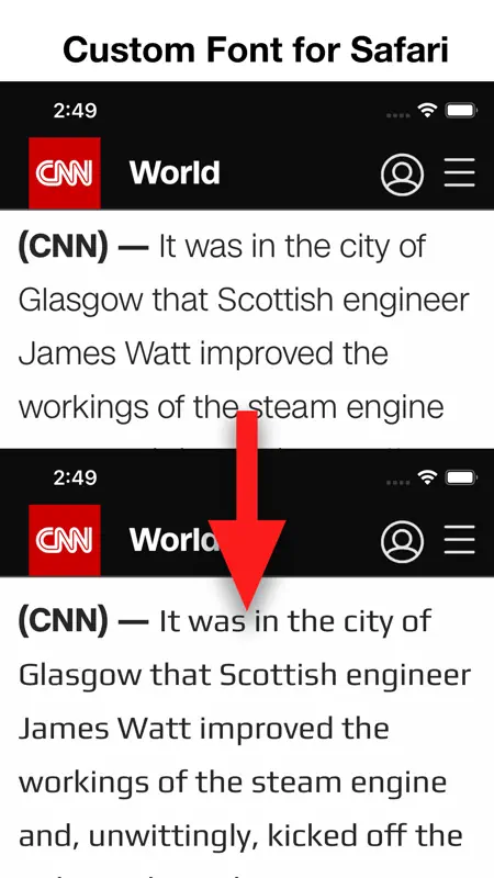 Any Font for Safari screenshot 1 of 6