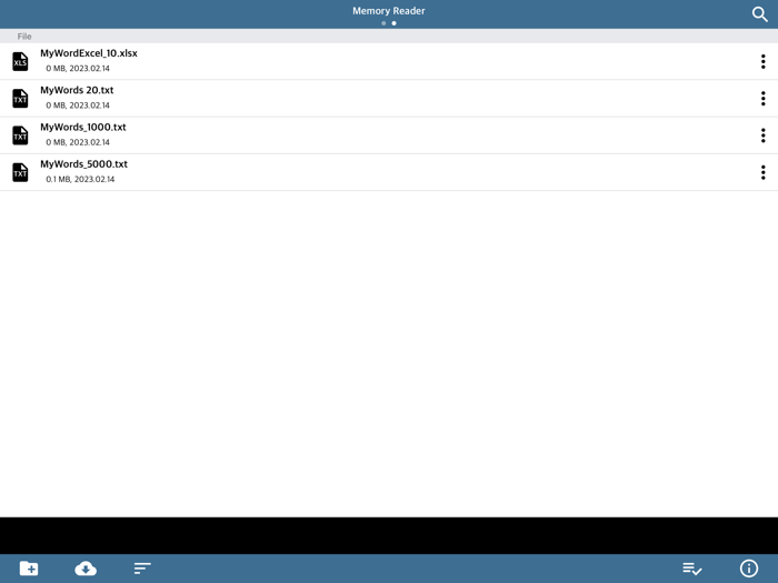 Memory Reader - Flash Word