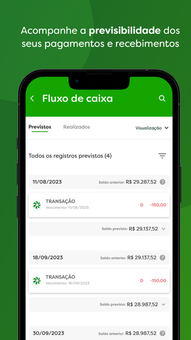 Organizador PJ Screenshot