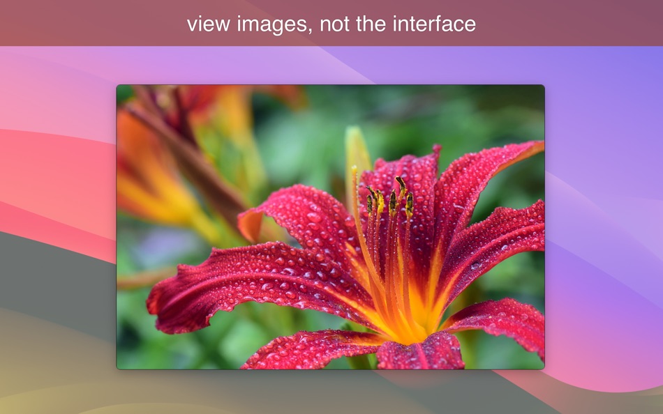 #1. LilyView (macOS) 由: Software Ambience Corp.